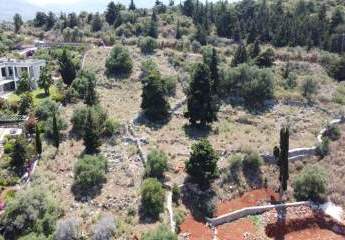 471492-Vorschaubild4