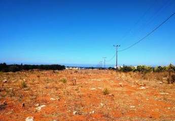 Kreta, Stavros: Grundstück zu verkaufen, nur wenige Meter vom Strand entfernt