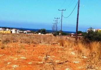 471493-Vorschaubild2