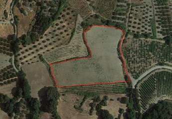 Kreta, Archanes: Großes Baugrundstück zu verkaufen