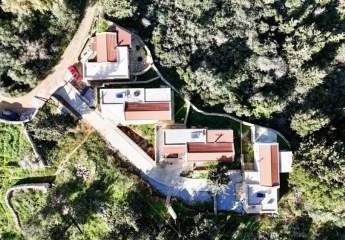 471955-Vorschaubild3