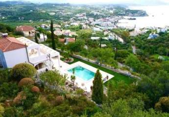 471956-Vorschaubild3