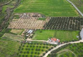 Kreta, Agies Paraskies: Großes Grundstück zu verkaufen