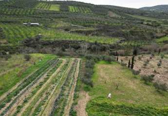 472756-Vorschaubild2