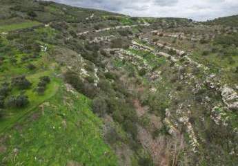 472756-Vorschaubild4