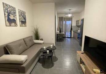 473133-Vorschaubild3