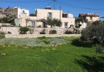 473134-Vorschaubild2