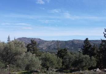 Kreta, Douliana: Grundstück mit idyllischem Bergblick und Baugenehmigung zu verkaufen