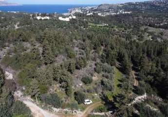 474049-Vorschaubild2