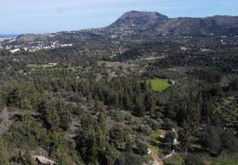 474049-Vorschaubild3