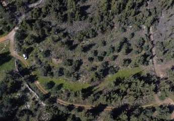 474049-Vorschaubild4