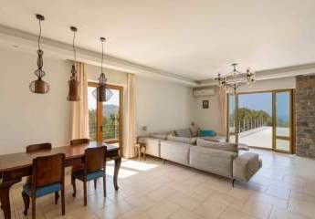 474707-Vorschaubild3