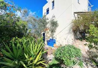 474884-Vorschaubild4