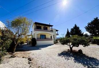 475515-Vorschaubild2