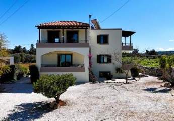 475515-Vorschaubild3