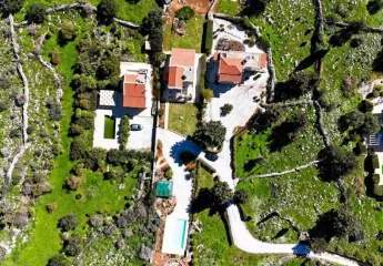 475515-Vorschaubild4