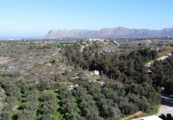 475516-Vorschaubild2