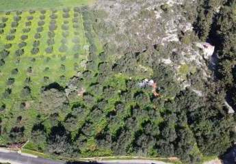 475516-Vorschaubild3