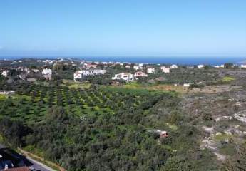 475516-Vorschaubild4