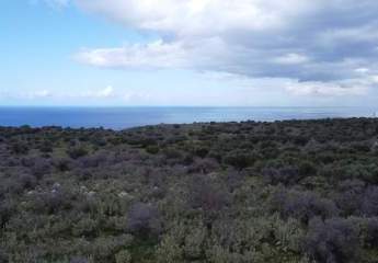 Kreta, Kokkino Chorio: Grundstück in ruhiger Lage mit Meerblick zu verkaufen