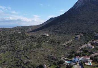 475517-Vorschaubild2