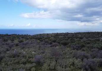 475517-Vorschaubild3