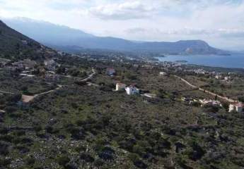 475517-Vorschaubild4