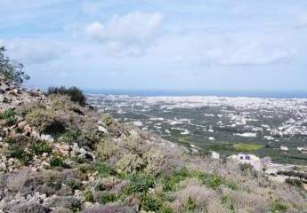 475518-Vorschaubild3