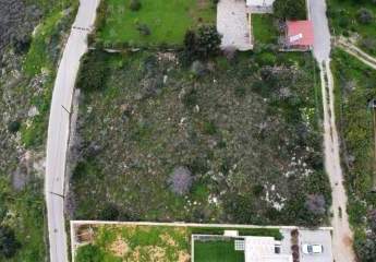 475519-Vorschaubild2