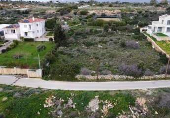 475519-Vorschaubild3