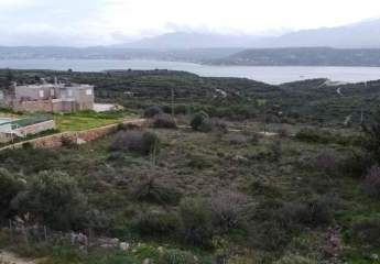 475519-Vorschaubild4