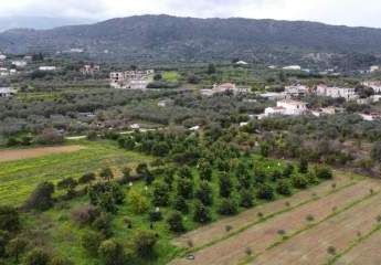 Kreta, Stilos: Charmantes ländliches Grundstück mit Bergblick zu verkaufen