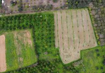 475520-Vorschaubild2