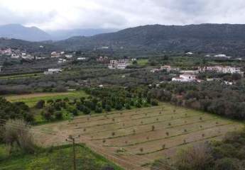 475520-Vorschaubild3