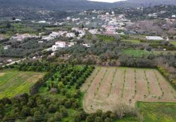 475520-Vorschaubild4