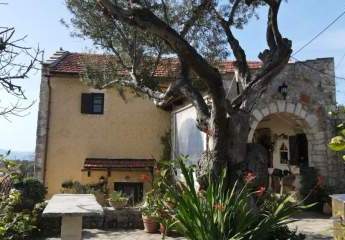 476094-Vorschaubild3