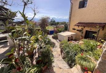 476094-Vorschaubild4