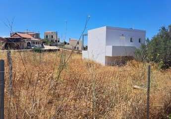 478383-Vorschaubild3