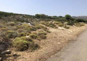 478385-Vorschaubild2