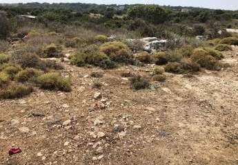 478385-Vorschaubild3