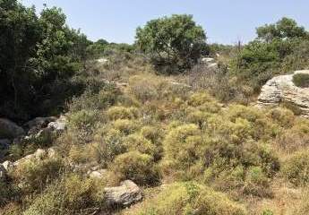 478385-Vorschaubild4