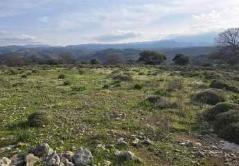 Kreta, Kato Valsamonero: Großes, bebaubares Grundstück zum Verkauf