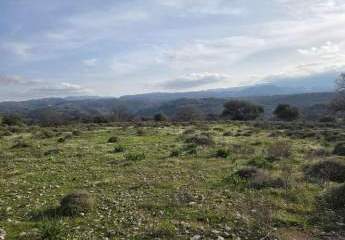 478392-Vorschaubild2