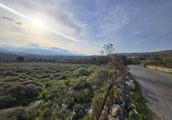 478392-Vorschaubild3