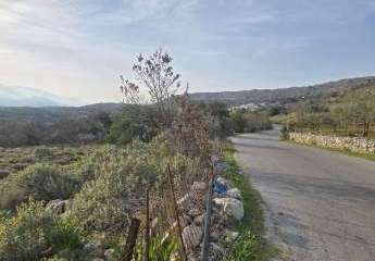 478392-Vorschaubild4