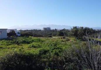 481036-Vorschaubild2