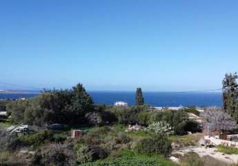 481036-Vorschaubild3