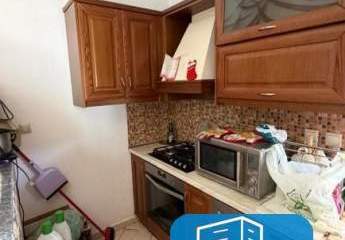 481676-Vorschaubild2