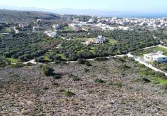 482626-Vorschaubild2