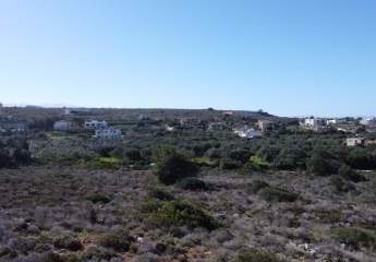 482626-Vorschaubild3